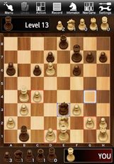 Скачать взломанную The Chess Lv.100 на Андроид - Мод все открыто