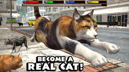 Скачать взломанную Ultimate Cat Simulator на Андроид - Мод все открыто