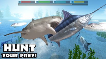 Скачать взломанную Ultimate Shark Simulator на Андроид - Мод много монет