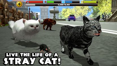 Скачать взломанную Stray Cat Simulator на Андроид - Мод бесконечные деньги
