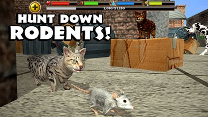 Скачать взломанную Stray Cat Simulator на Андроид - Мод бесконечные деньги