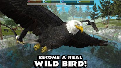 Скачать взломанную Ultimate Bird Simulator на Андроид - Мод все открыто