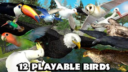 Скачать взломанную Ultimate Bird Simulator на Андроид - Мод все открыто