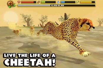 Скачать взломанную Cheetah Simulator на Андроид - Мод все открыто