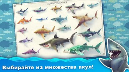 Скачать взломанную Hungry Shark World на Андроид - Мод много монет