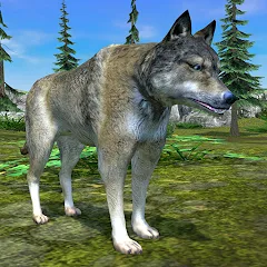 Скачать взломанную Wolf Simulator - Animal Games  [МОД Unlimited Money] - стабильная версия apk на Андроид