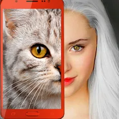 Скачать взломанную Kitten: what cat are you? joke  [МОД Mega Pack] - полная версия apk на Андроид