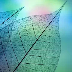 Взлом 780 words (семьсот восемьдесят)  [МОД Unlimited Money] - последняя версия apk на Андроид