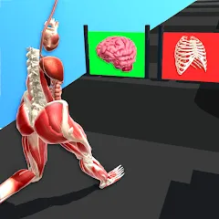 Взломанная Human Run (Хуман Ран)  [МОД Бесконечные монеты] - полная версия apk на Андроид