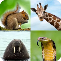 Взломанная Animal Quiz: Guess the Animal  [МОД Бесконечные деньги] - последняя версия apk на Андроид