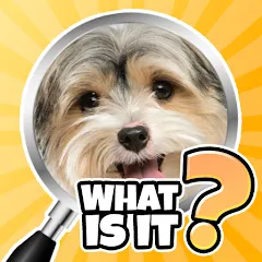 Скачать взлом What is it? Pics Trivia Quiz  [МОД Mega Pack] - стабильная версия apk на Андроид