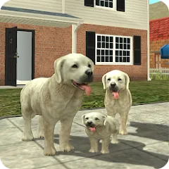 Взломанная Dog Sim Online: Raise a Family  [МОД Бесконечные монеты] - полная версия apk на Андроид