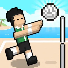 Взлом Volley Random (Воллей Рэндом)  [МОД Много монет] - последняя версия apk на Андроид