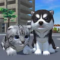 Скачать взломанную Cute Pocket Cat And Puppy 3D (Кьют Покет Кэт Энд Паппи 3Д)  [МОД Бесконечные деньги] - последняя версия apk на Андроид