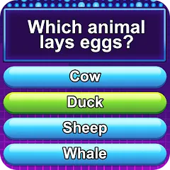 Взлом Trivia Crush (Тривия Краш)  [МОД Menu] - последняя версия apk на Андроид