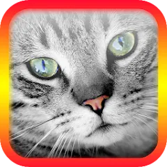 Взломанная Translator for Cats Prank  [МОД Unlocked] - стабильная версия apk на Андроид