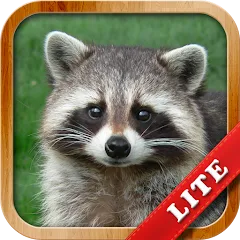 Скачать взлом Animals for Kids  [МОД Много монет] - полная версия apk на Андроид