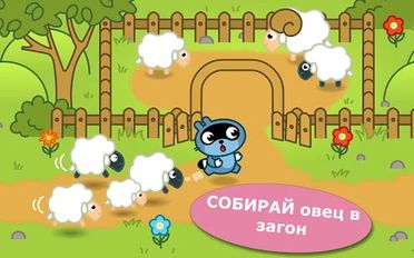   Pango Sheep   -   