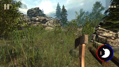   Survival Time: Forest   -   